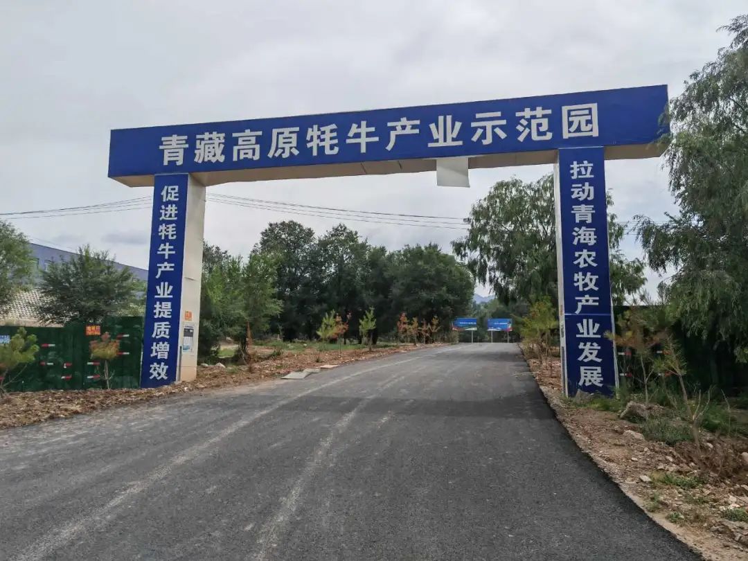青海省海东市农牧业企业污水在线监测