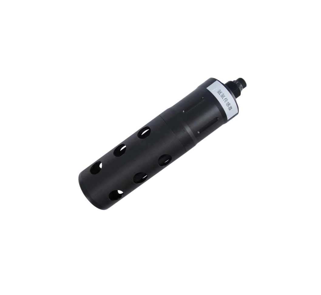 陆恒在线电极法NH4-N 氨氮传感器 LH-DN509(图1)