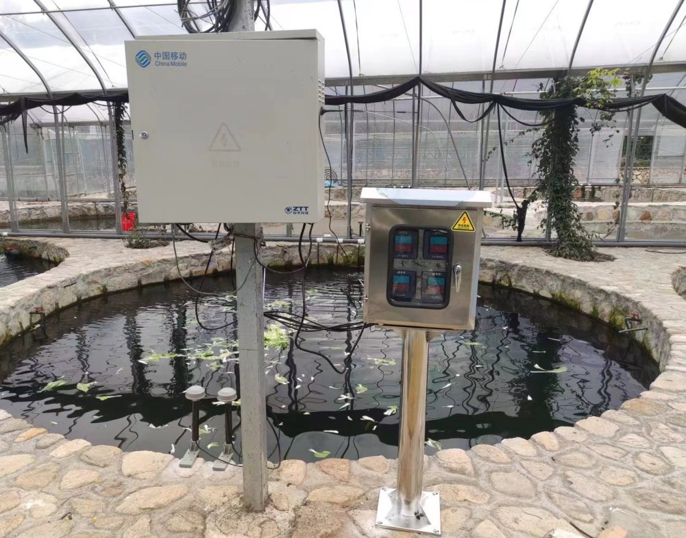 陆恒案例-浙江省水产健康养殖示范项目(图1)